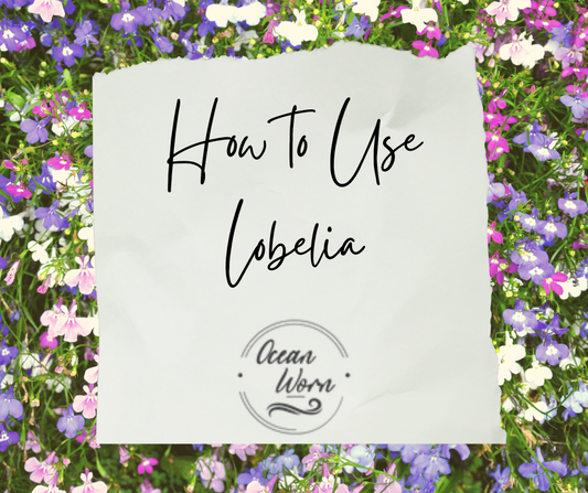 How to Use Lobelia
