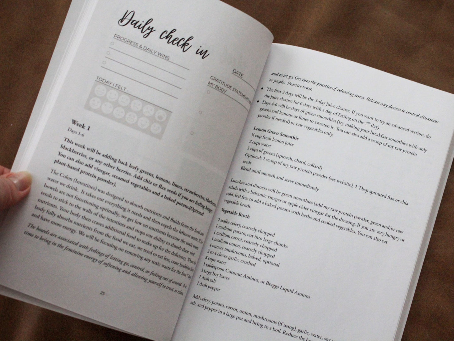 Detox Book - 6 Week Detox Program for healing - The Healing Happy Method