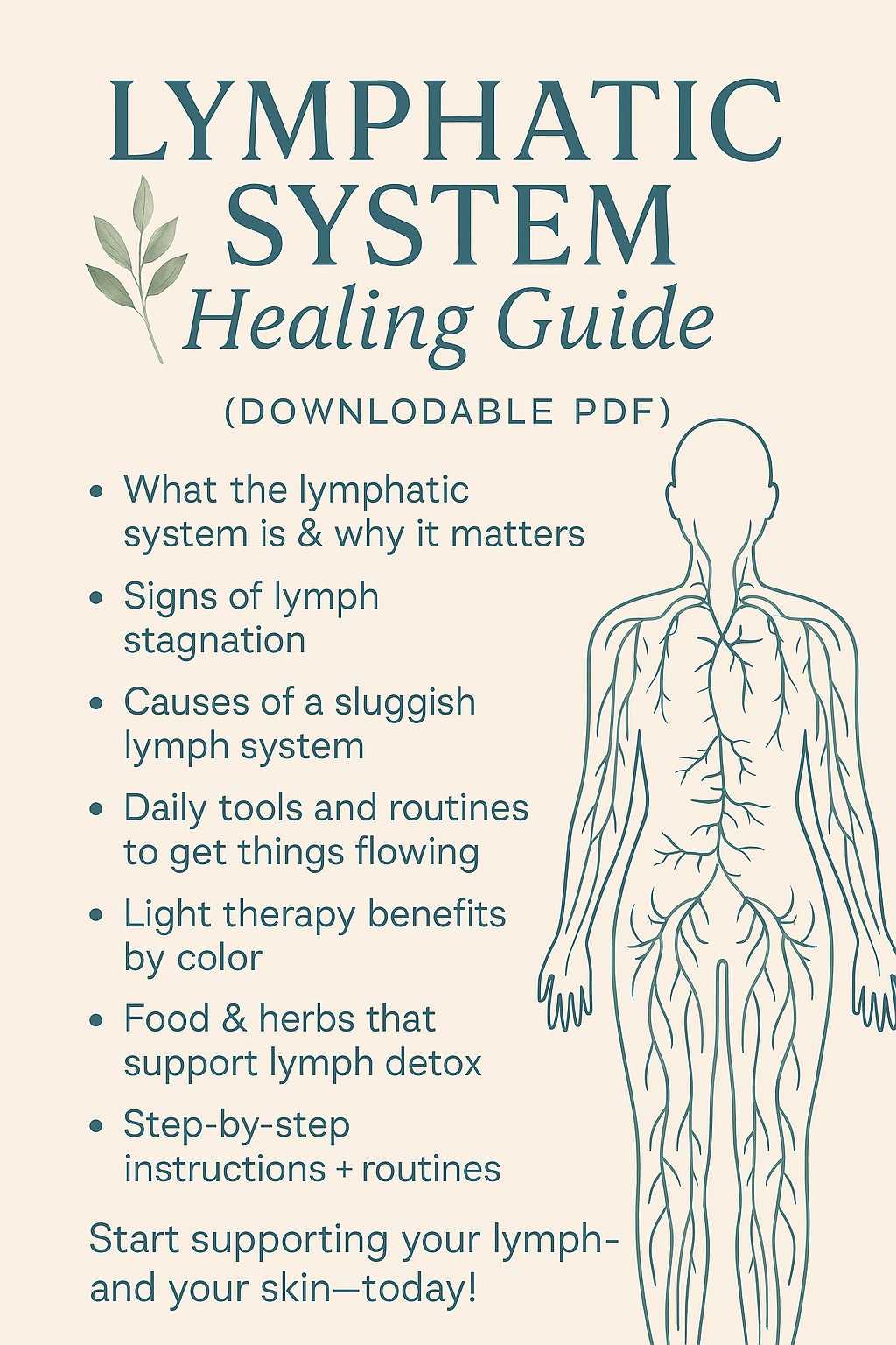 Lymphatic System Healing Guide (Downloadable PDF) - The Healing Happy Method