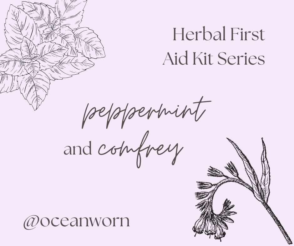 Herbal First Aid Kit Series | Peppermint and Comfrey