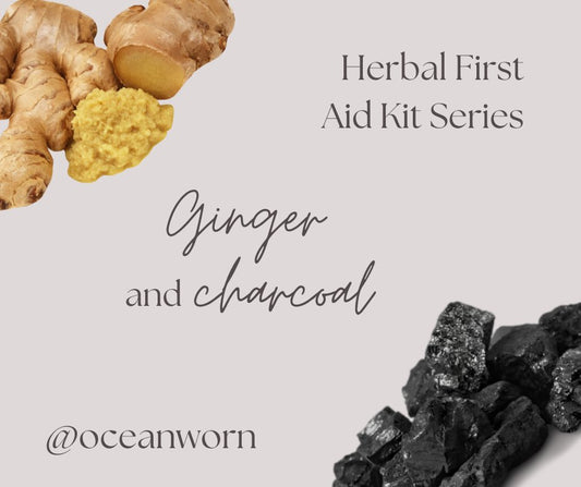 Herbal First Aid Kit Series | Ginger and Charcoal - The Healing Happy Method