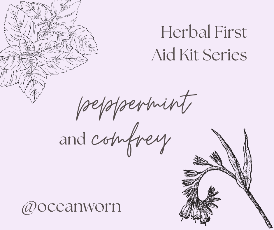 Herbal First Aid Kit Series | Peppermint and Comfrey - The Healing Happy Method