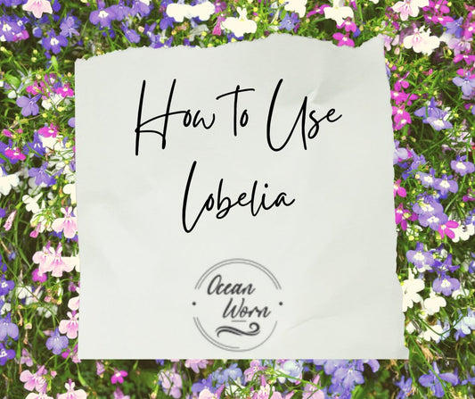 How to Use Lobelia - The Healing Happy Method