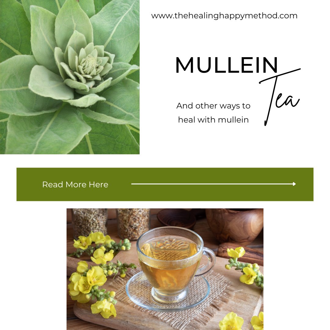 Mullein- A Herbal Powerhouse for Healing - The Healing Happy Method