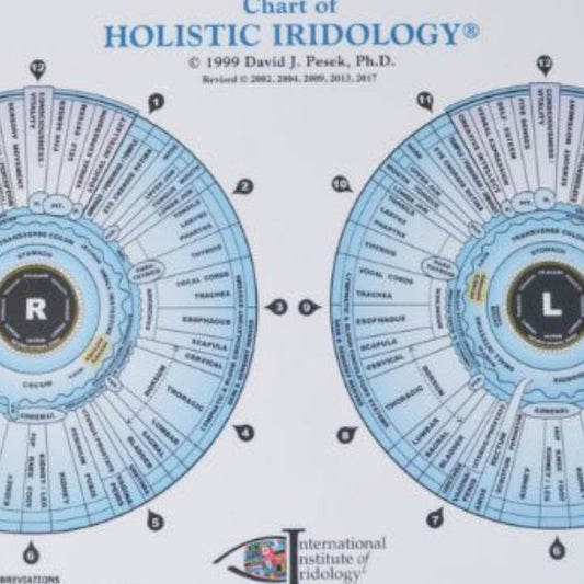 10 Minute Iris Analysis - The Healing Happy Method