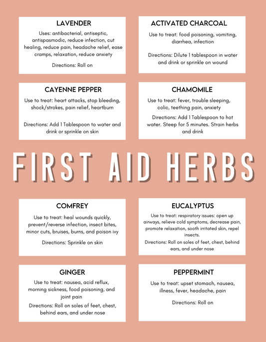 Laminated Herbal First Aid Kit Instruction Card